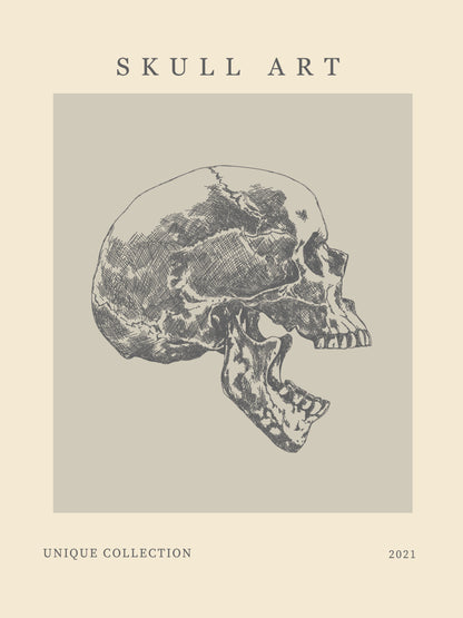 Skulls // Óflokkað 05